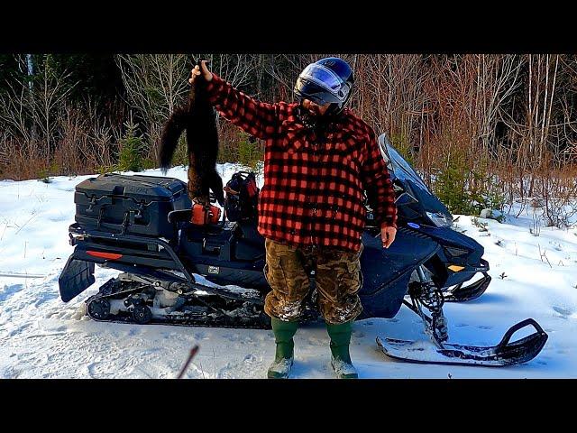 Broken Snowmobile Skis, Fisher, Marten, Weasels