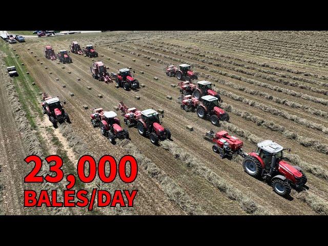 23,000 Bales in a SINGLE Day (And Dried?)