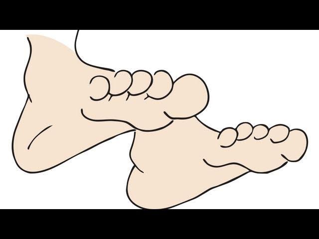 Learn Body Parts by ELF Learning - Parts Of The Body Song For Children - ELF Kids Videos