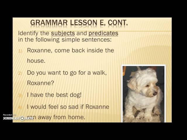 Grammar Lesson E