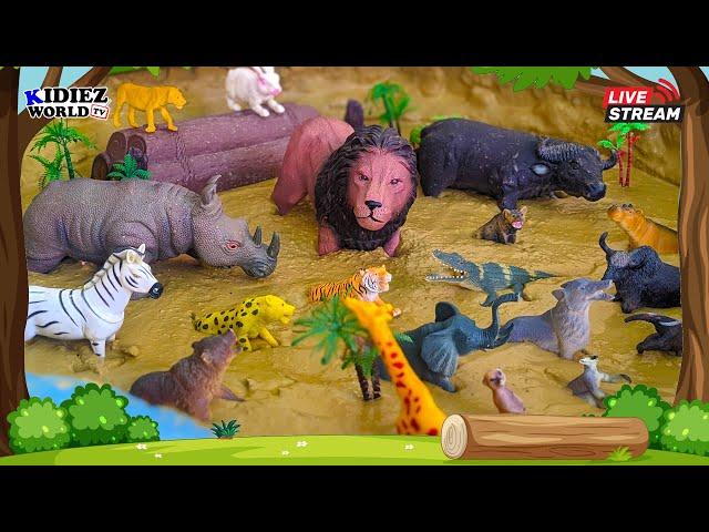 Playful Learning Wild African Animals for Kids & Toddlers | Kidiez World TV Live Stream