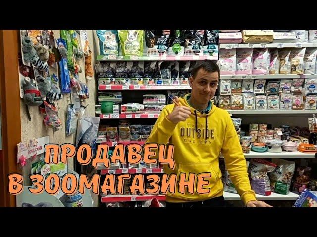 Работа в зоомагазине, что надо знать?