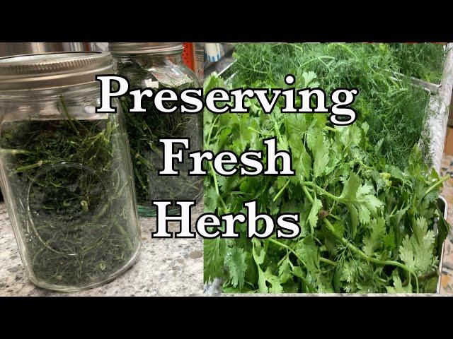 Preserving our farm fresh organic herbs! Intense Aroma!