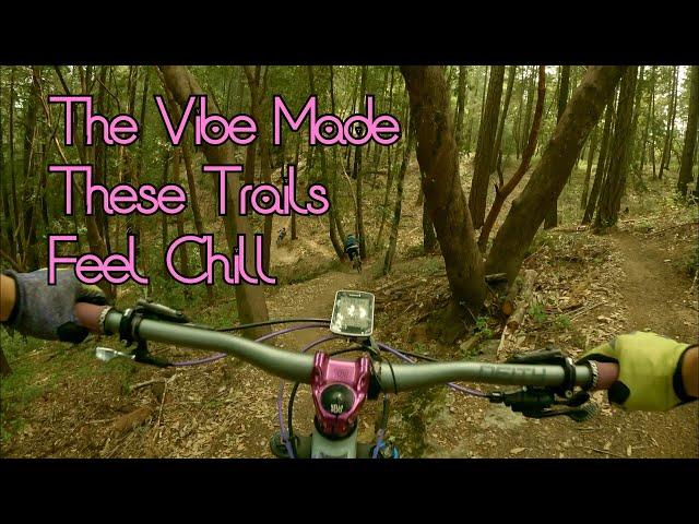 Trail Tourist Ep9 : Bike Somm Angwin Jank Part 2