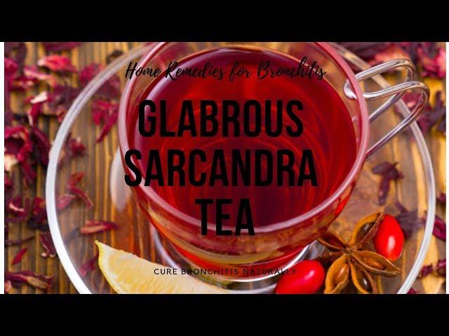 Home Remedies for Bronchitis -Glabrous Sarcandra Tea can cure Bronchitis Naturally