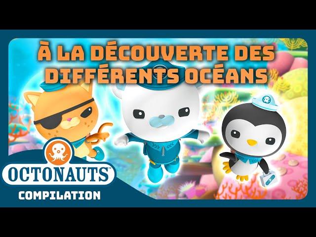 Octonauts -   À la découverte des différents océans 🪸 | Compilation | Dessins animés pour enfants