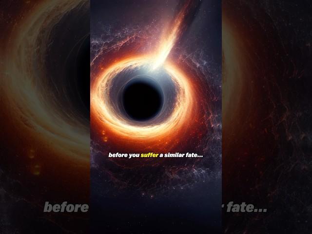 What if you fell into a Black Hole?