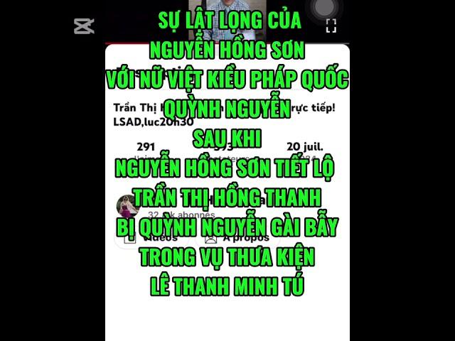 NGUYỄN HỒNG SƠN TIẾT LỘ QUỲNH NGUYỄN GÀI BẪY LUẬT SƯ TRẦN THỊ HỒNG THANH TRONG VỤ KIỆN LTM TÚ