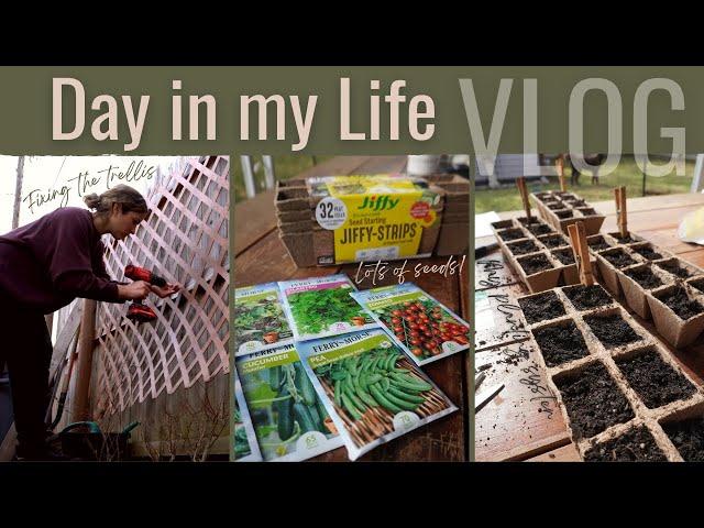 VLOG: Prepping my kitchen garden for spring! + new seeds + repairs + small space garden tour/plan