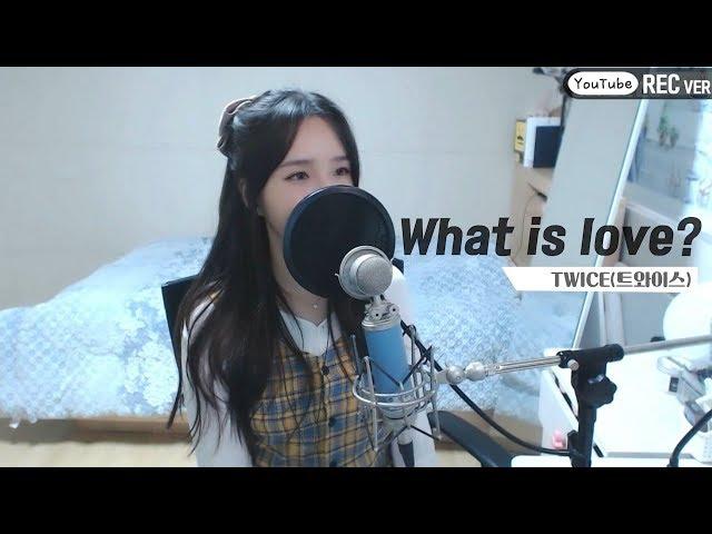 TWICE(트와이스) - 'What is love?' COVER by 새송｜SAESONG