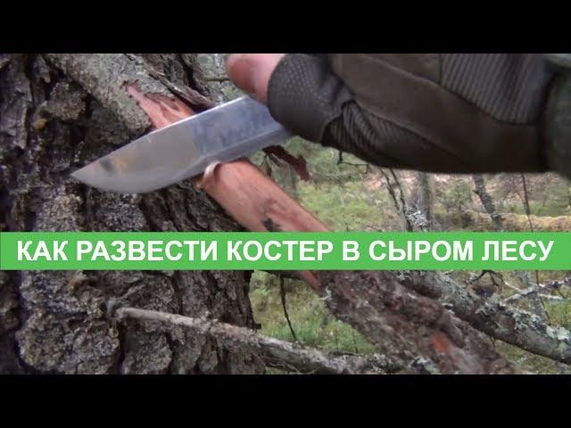 Как развести костер в сыром лесу. Выживание и Bushcraft. Bonfire