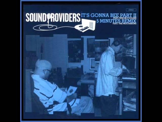 Sound Providers - 5 Minutes feat. The Procussions (Remix)