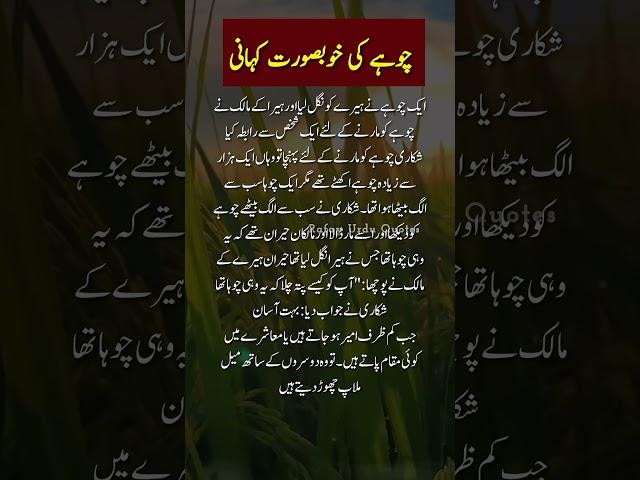 Urdu Islamic Motivational Story | Urdu Lines | Motivation #poetry #urdustories #quotes #learnurdu