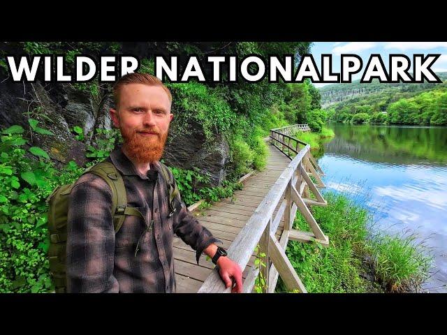 Wildes Herz des Nationalpark Eifel | Natur in NRW | 2024 | Jörg Müller