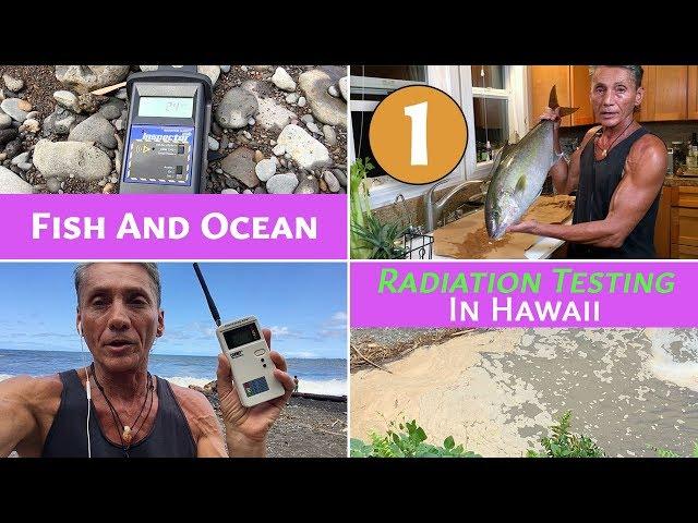 Fish And Ocean Radiation Testing In Hawaii Part 1 | Dr. Robert Cassar