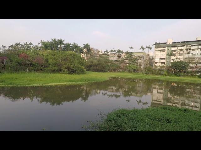 대만 디자인 박물관 호수 공원, Taiwan design museum park, 台灣設計館