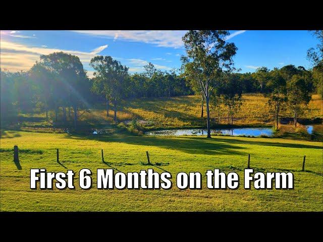6 Months on the Farm - Do We Still want to Homestead?