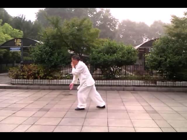 Traditional Wu Style Taijiquan by Master Lin Jianquan