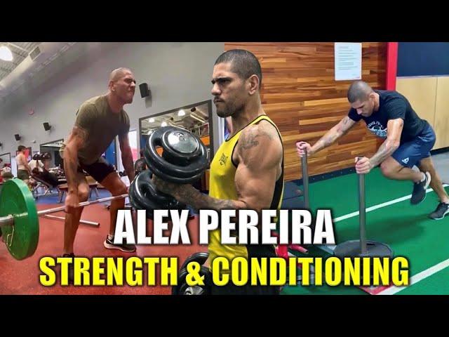 Alex Pereira Strength & Conditioning Training