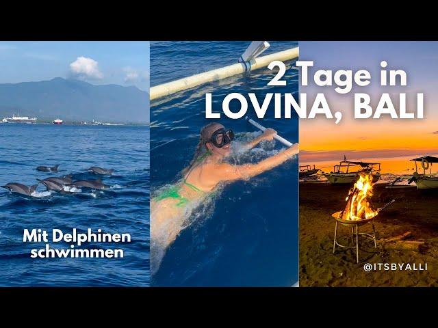 Lovina, Bali Vlog 10 // Tierquälerei?! & mit Delphinen schwimmen