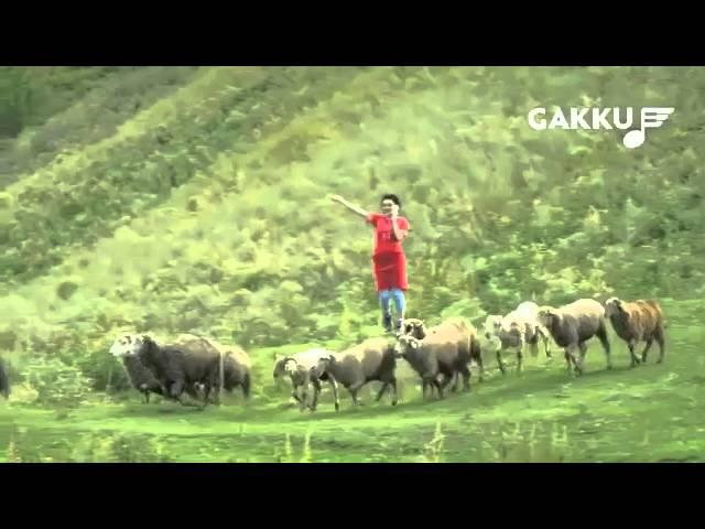 ТОРЕГАЛИ ТОРЕАЛИ & ЕРКЕ ЕСМАХАН 'АЛЛО'