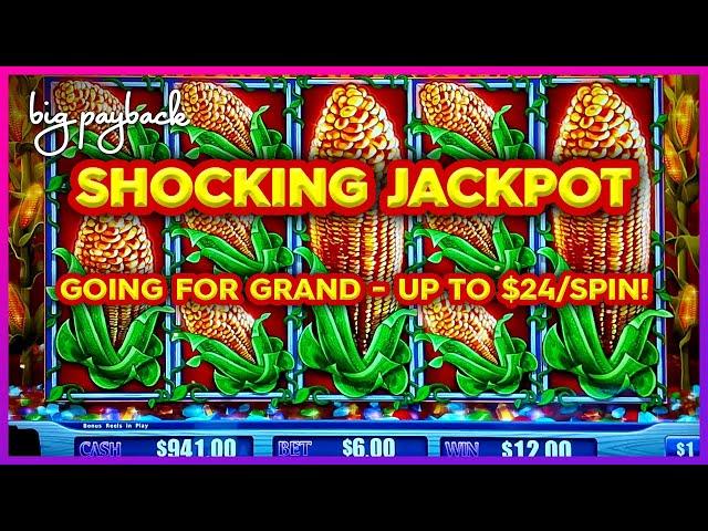 Up to $30/Spin → JACKPOT SHOCKER! Cash Crop Slots!! GRAND JACKPOT QUEST!!!