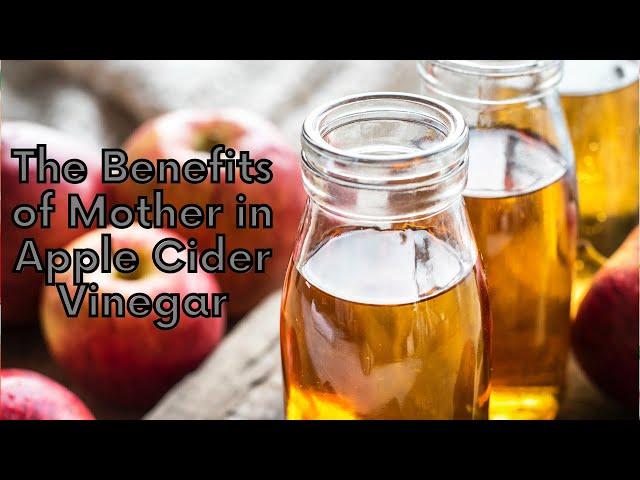 The Benefits of Mother in Apple Cider Vinegar | Natural Health Zone