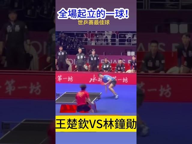 世乒賽最佳球！王楚欽上演超恐怖對拉 對手飛撲救球也無濟於事！#wangchuqin  #wtt #pingpong #fanzhendong