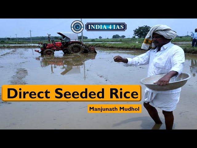 What is Direct Seeding of Rice (DSR)? | Agriculture | Increase Yield | #india4ias #upsc #kpsc #ias