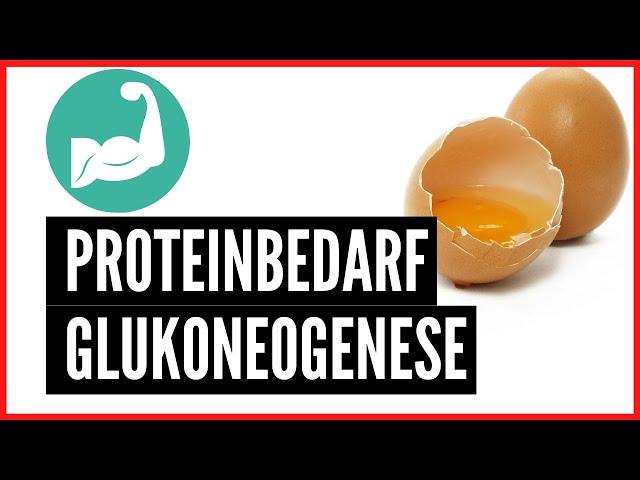 Endlich ! Der ideale Proteinbedarf | Ketogen keine Glukoneogenese durch zu viel Protein