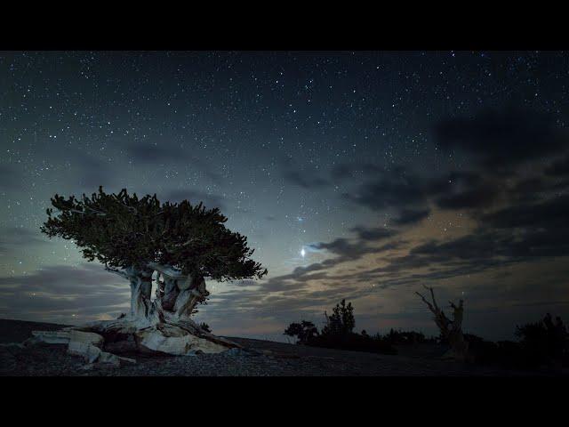 Great Basin National Park Film