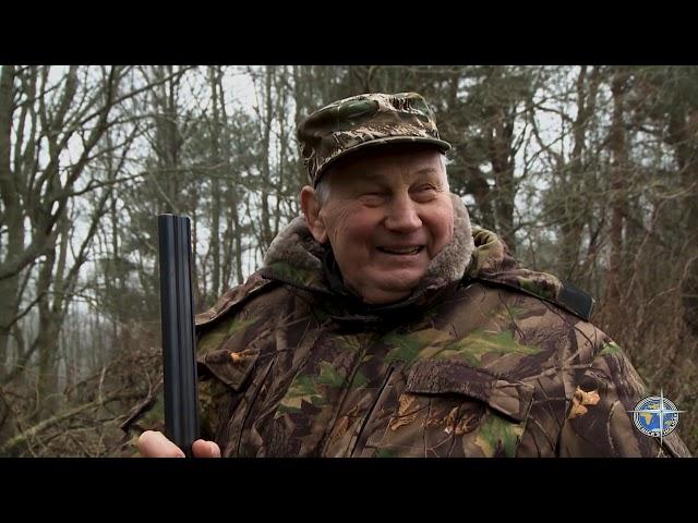 Загонная охота на кабана (Wild boar hunting with dogs).