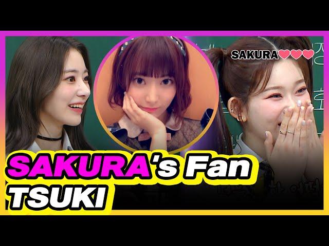 [4K] SAKURA's Big Fan TSUKI (Turn On CC)