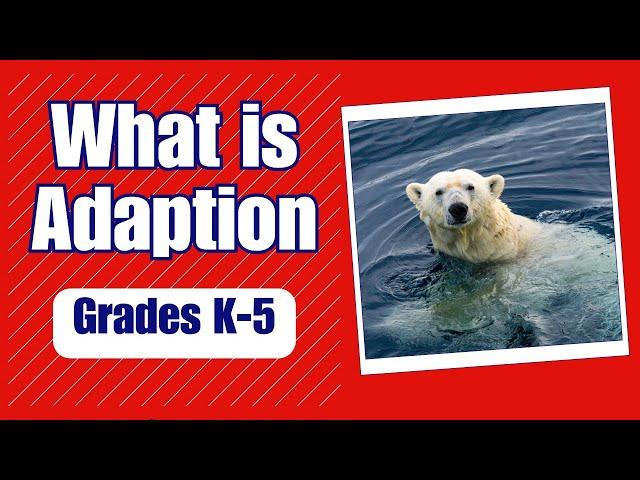 What is Adaptation - More K-5 Science