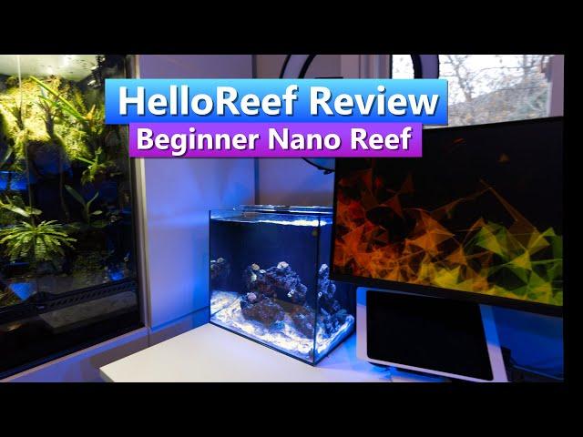 Beginner Nano Reef Setup  - Hello Reef Saltwater Aquarium