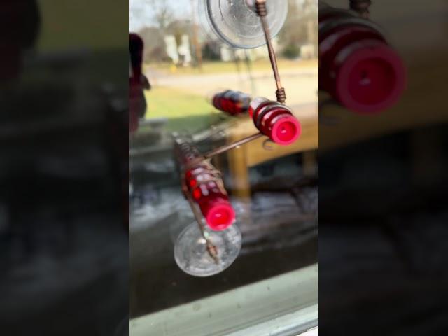 I love watching gorgeous hummingbirds drink their sweet fill: Geometric Window Hummingbird Feeder