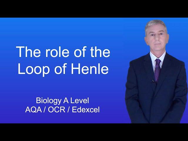 A Level Biology Revision (Year 13) "The Role of the Loop of Henle"