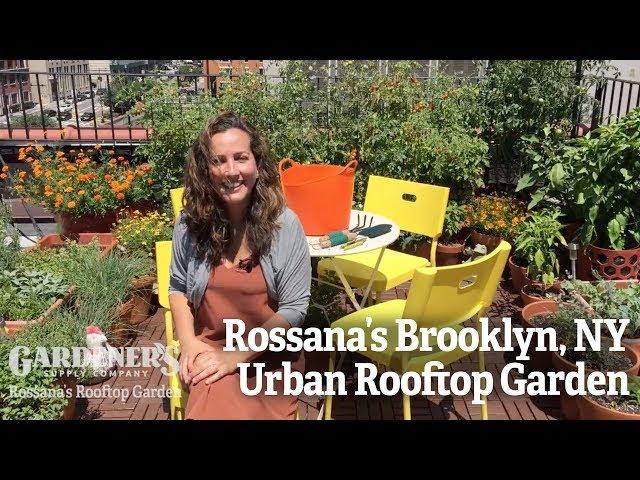 Rossana's Brooklyn NY Urban Rooftop Garden - Gardener's Supply Co