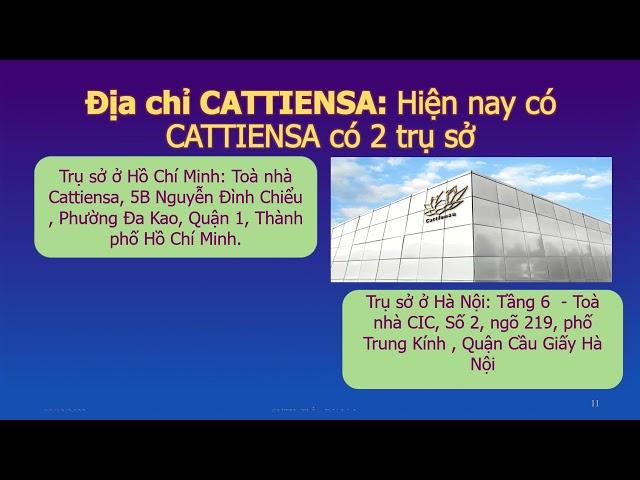 Giới thiệu công ty giải trí CATTIENSA