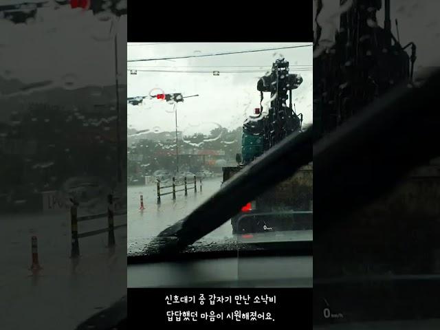운전 중에 갑자기 만난 소나기