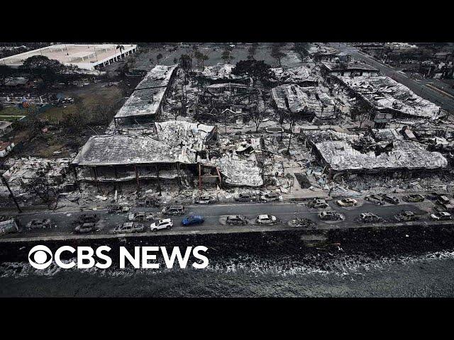 Maui fires' destruction in Lahaina captured in videos