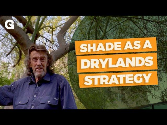 Shade as a Drylands Strategy