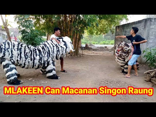 MLAKEEN CAN MACANAN SINGO RAUNG || komedi madura