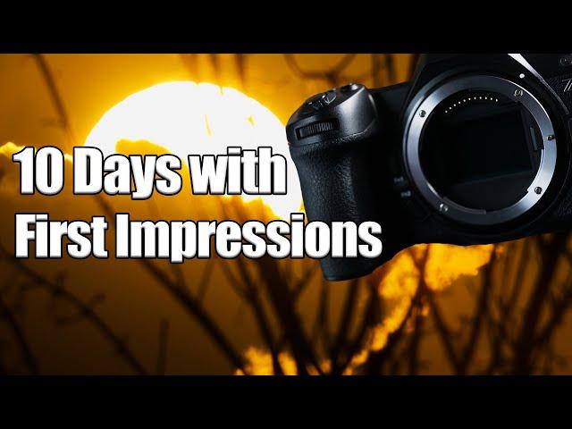 10 Days with the Nikon Z6 Mark III: First Impressions