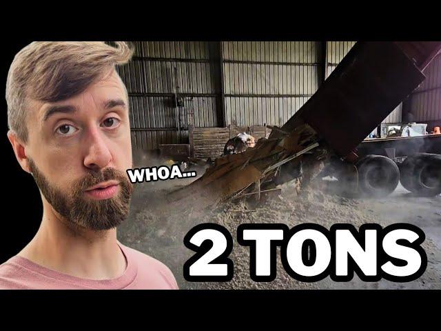 Dumping 2 Tons of Trash: Our Homestead Renovation