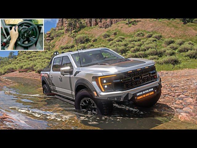 Ford F-150 Raptor R Offroad - Forza Horizon 5 | Thrustmaster T300RS gameplay