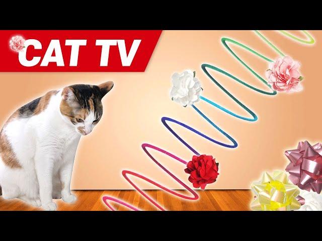 CAT Gmaesㅣvideos for cats to watch4Hourscat toy