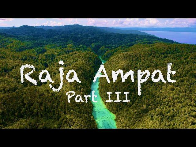 Raja Ampat (4K), Waigeo, Indonesia, Western Papua, 2022, Biodiversity, Birds of Paradise and Diving