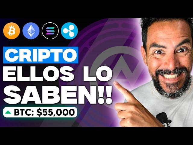  la ÚNICA dirección de BITCOIN  RIPPLE XRP: NOTICIA IMPORTANTE | Criptomonedas hoy SOLANA - ETH