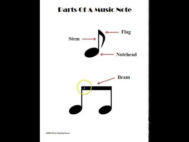 What Are The Parts Of A Music Note?